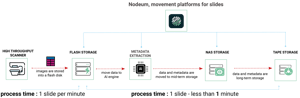 Case Study MedGraz - After NODEUM