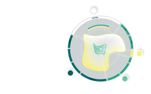 Nodeum Key features