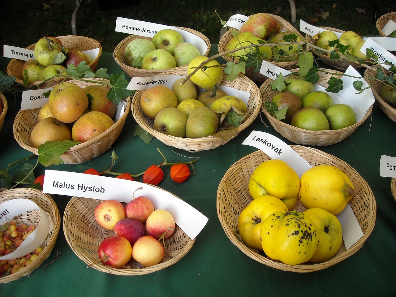 Fruit-Fruits-Pomology-Fruit-Recognition-Apples-954928