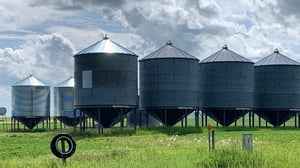 grain-4668701_1280