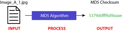 md5checksum