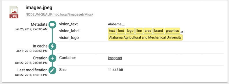 Google Cloud Machine Learning